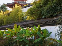 -武汉园博园(武汉自然博物馆)