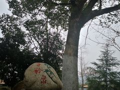 -三江森林温泉度假区