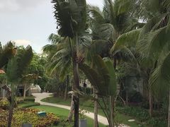 -石梅湾艾美度假酒店