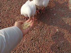 -泉城欧乐堡海洋极地世界