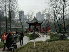 -重庆彩云湖湿地公园