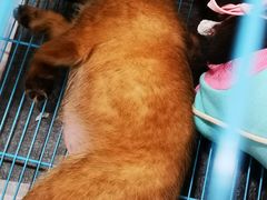 -万达广场(扬州邗江店)