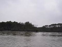 -东寨港红树林旅游区