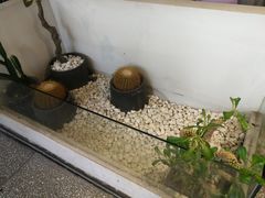 -莓超疯