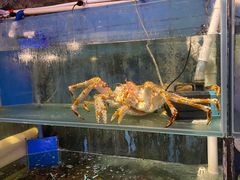 -辉记炭烧海鲜大排档·老字号(福田店)