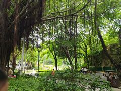 -金鸡山公园