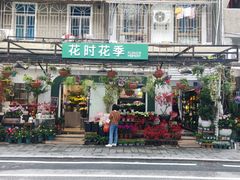 -溪岸路花鸟市场