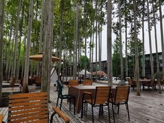 露天位-桉树林A coffee 森林餐厅(三圣乡店)