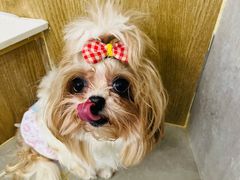 -和它·交个朋友·狗咖猫咖(爱琴海店)