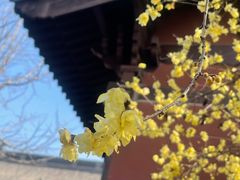 -钱王祠