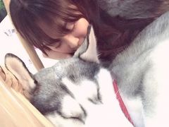 -Husky Go! 哈士奇体验馆·宠物咖啡厅狗咖