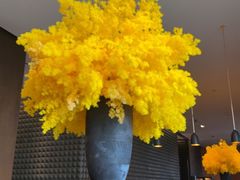 -当米亚诺意大利餐厅(武汉光谷凯悦酒店)