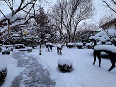 -龙湖星悦荟(颐和店)