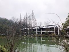 -青花餐厅(雅谷泉山庄酒店)