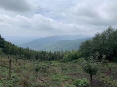 -木兰云雾山