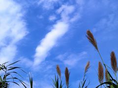 -良渚古城遗址公园