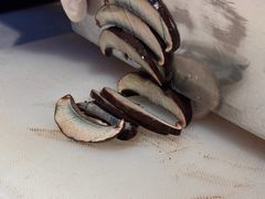 -芸山季·云南山珍菌火锅(人民广场来福士店)