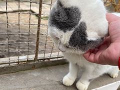 -成都爱之家动物救助中心