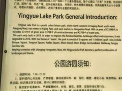 -映月湖公园