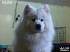 -山东柏宁水族批发广场