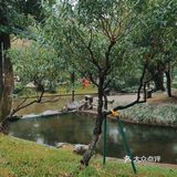 误入桃花涧