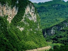 -贵州百里杜鹃风景名胜区