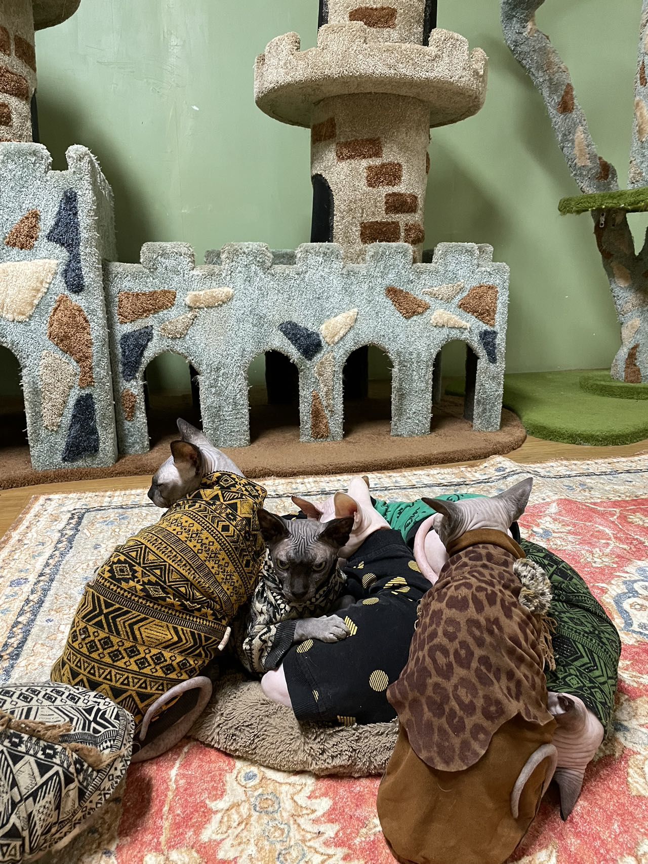 我的心❤️被这些小精灵们萌化了