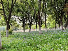 -白塘生态植物园