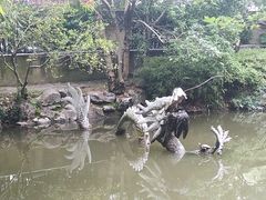 -汇龙潭