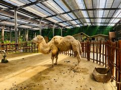 -呀路古热带植物园