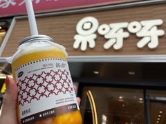 -果呀呀(国金街店)