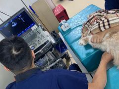 -爱侣宠医·鹦鹉专科·小型哺乳类·异宠专科(灵石路店)