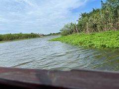 -洪湖湿地生态园