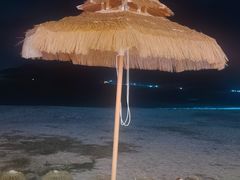 -花海间·即刻露营