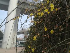 -彤德莱(青岛人民路店)