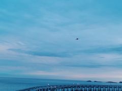 -星海湾跨海大桥