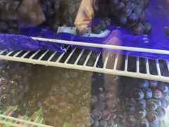 -雾与山茶(大禹城店)