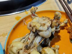 -铭记蛙小仙·活蛙畅享(CBD万达广场店)