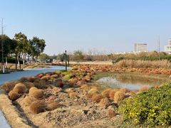 -春花秋色城市公园