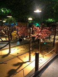 -酷嗒动物文化乐园(cutezoo西溪乐天城店)