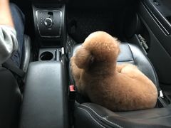 -MOLLY'S萌宠生活馆