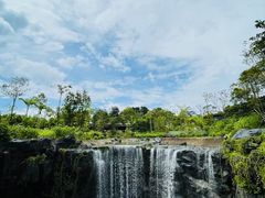 -新加坡飞禽公园