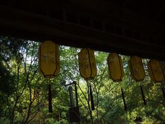 -同里国家湿地公园