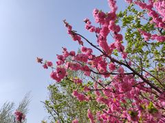 -长春公园(普阳街道)