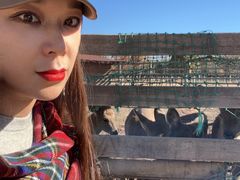 -安德鲁户外烧烤帐篷营地(马泉营店)