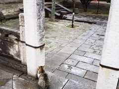 -西安化觉巷清真大寺
