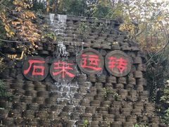 -千年银杏谷文化旅游区