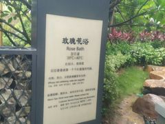 -美的鹭湖森林度假区