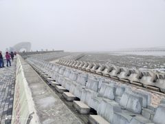 -南汇嘴观海公园