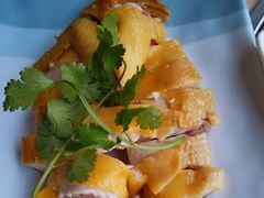 白切文昌鸡-墨脱石锅椰子鸡•香草鸭•东山羊(大东海店)